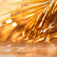 Golden Coco